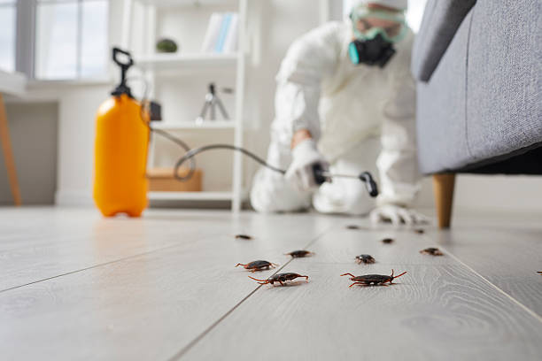 Post-Treatment Bed Bug Interceptor Monitoring in Wyncote